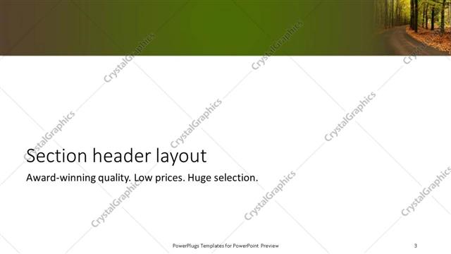 Section Header presentation slide layout