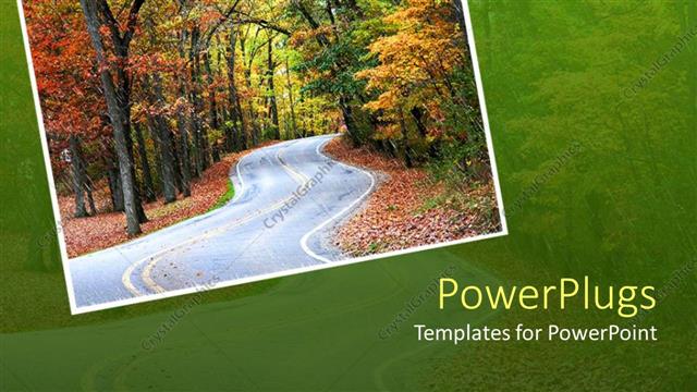  Presentation with forest road - A road in the forest and greenery in the background