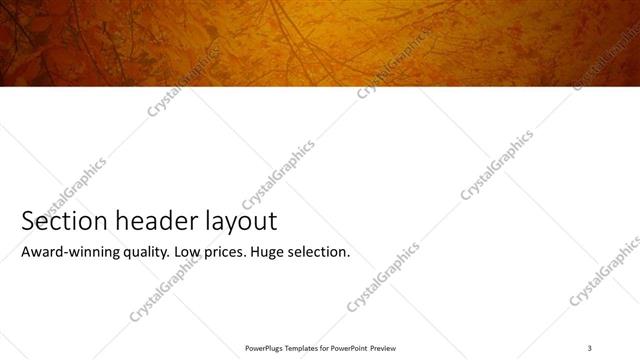 Section Header presentation slide layout
