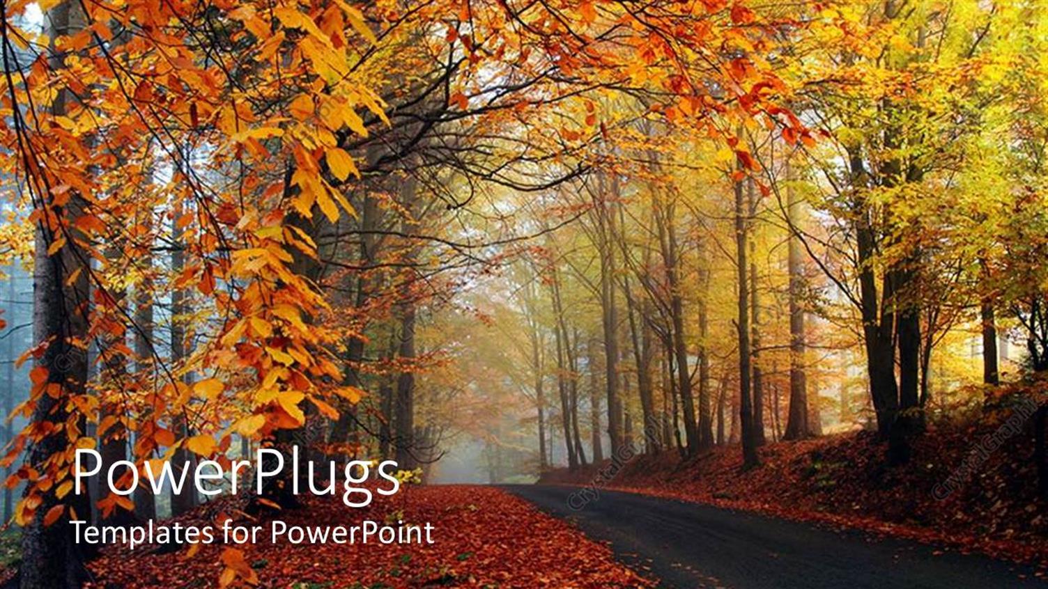 Premium Template for PowerPoint & Google Slides 