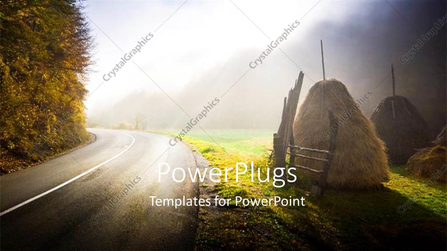 Premium Template for PowerPoint & Google Slides 