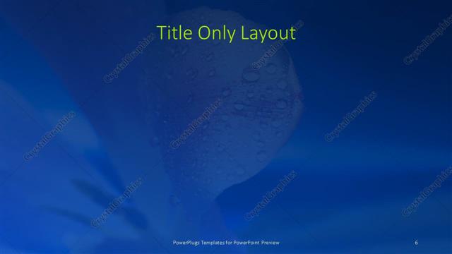 Title Only presentation slide layout