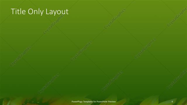 Title Only presentation slide layout