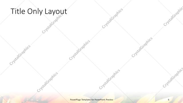 Title Only presentation slide layout