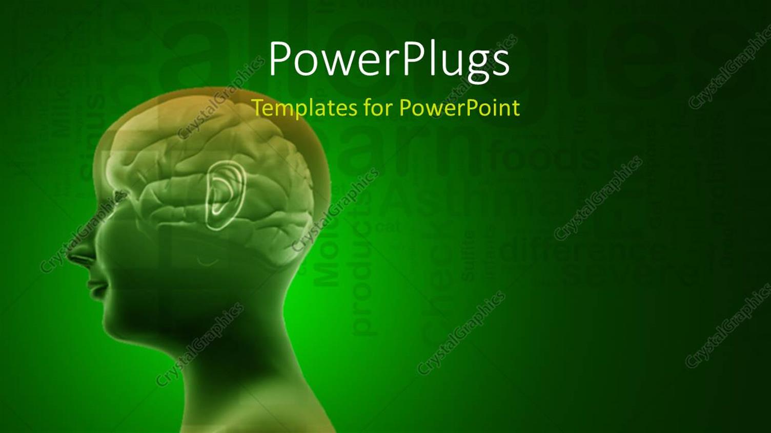 Premium Template for PowerPoint & Google Slides 