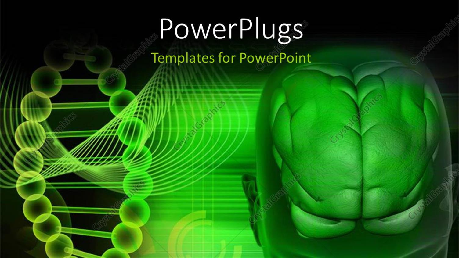 Premium Template for PowerPoint & Google Slides 