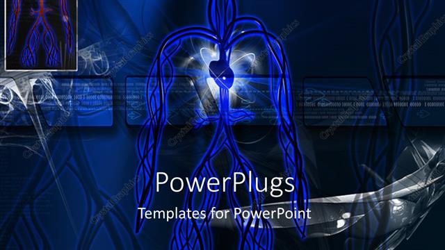  Presentation with circulatory system - Scan showing human circulatory system over blue digital background