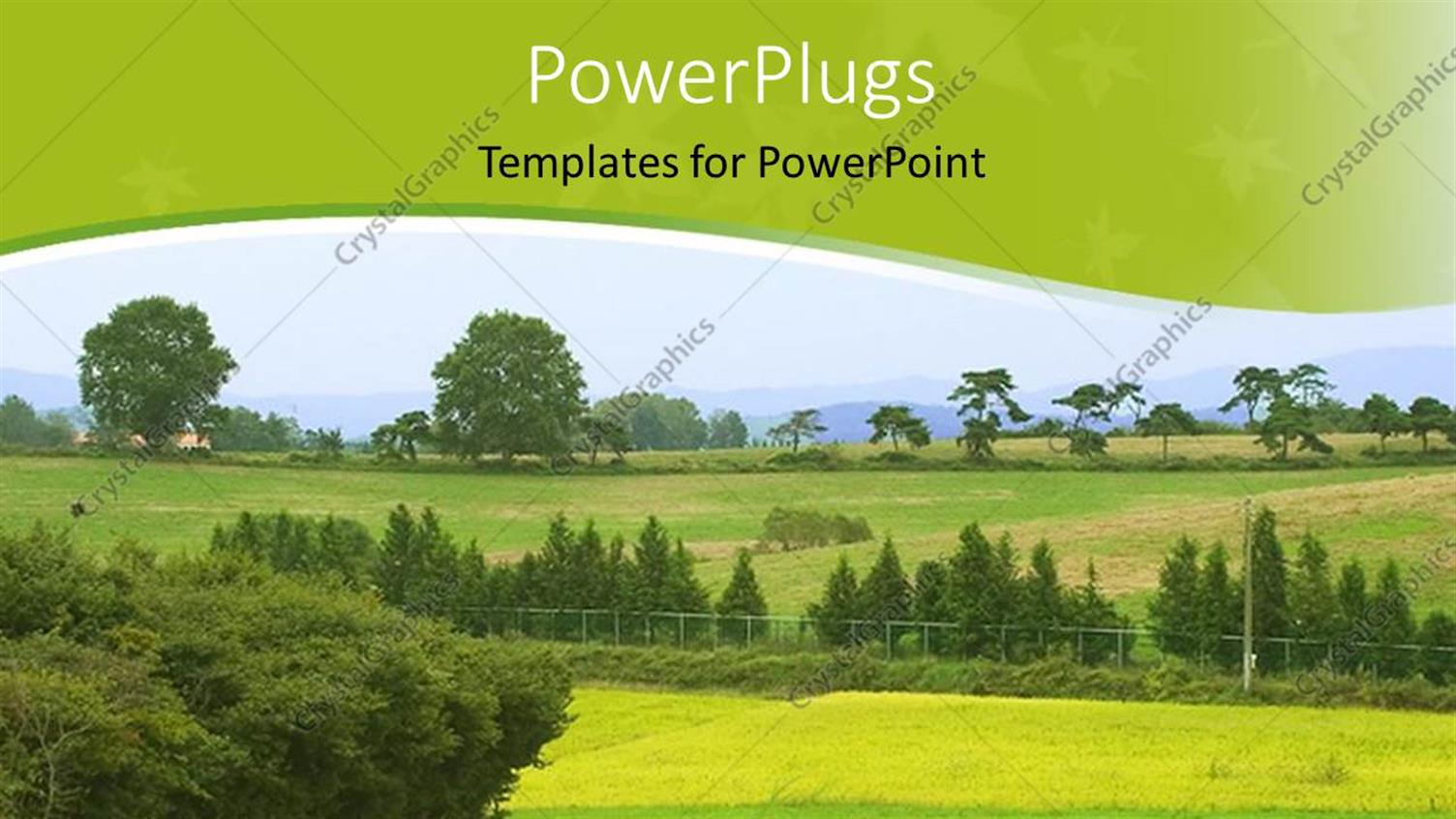 Premium Template for PowerPoint & Google Slides 
