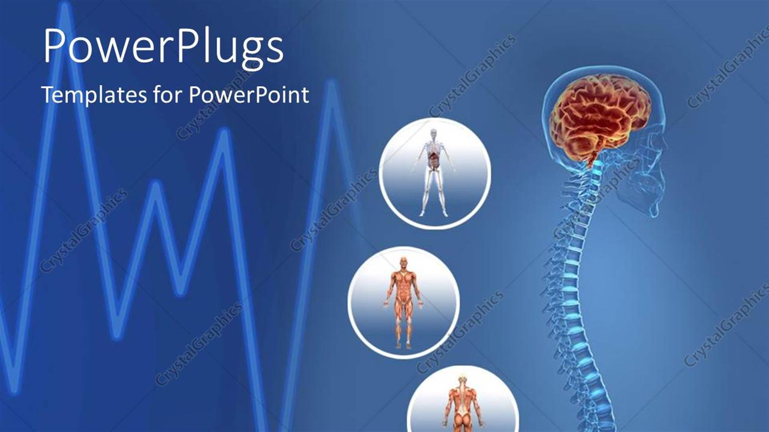 Premium Template for PowerPoint & Google Slides 