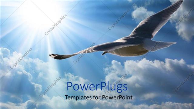  Presentation with fly - Seagull soaring high through the clouds and beam of sun