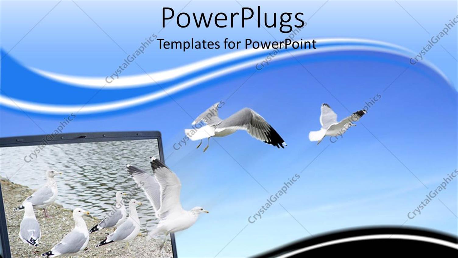 Featuring Seagulls Flying Out of Laptop Screen into Blue Sky
