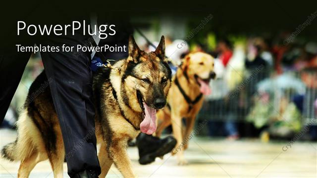  Presentation with german - A security dog on a routine check with people in the background