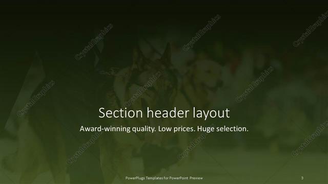 Section Header presentation slide layout
