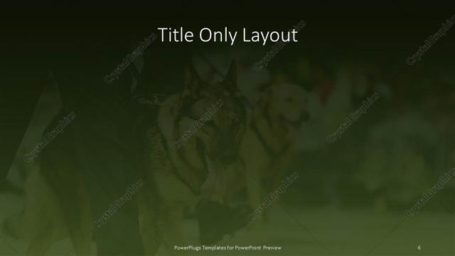 Title Only presentation slide layout