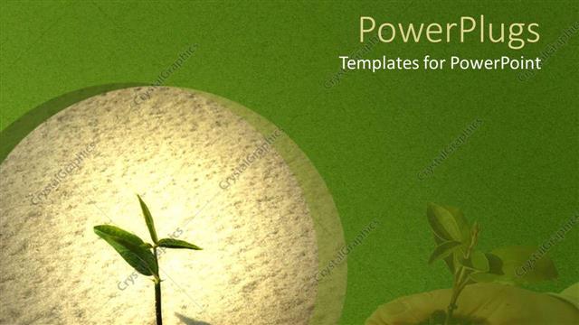  Presentation with hands holding - Seedling sprouting in sand, hands holding young plant