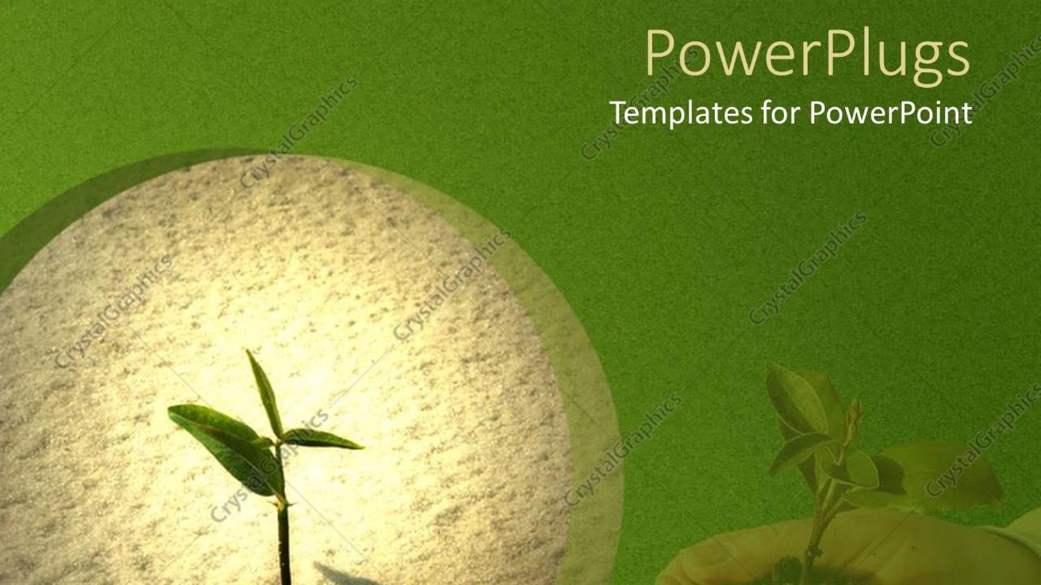 Premium Template for PowerPoint & Google Slides 