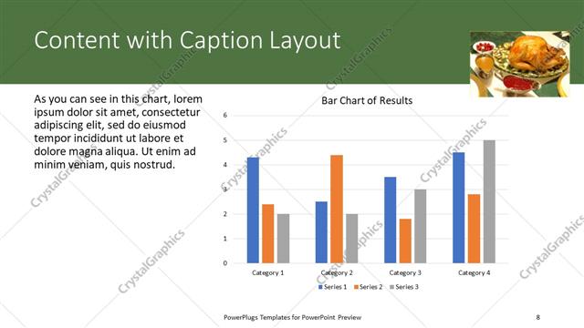 Content with Caption presentation slide layout