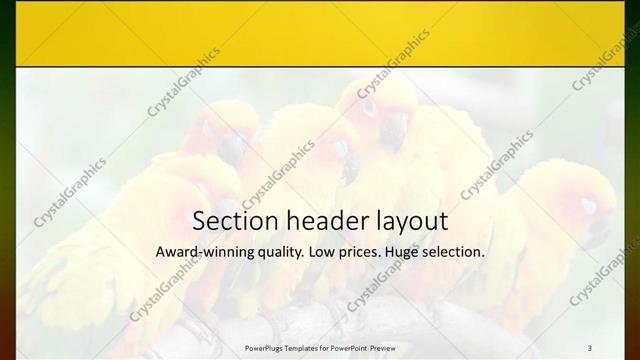 Section Header presentation slide layout