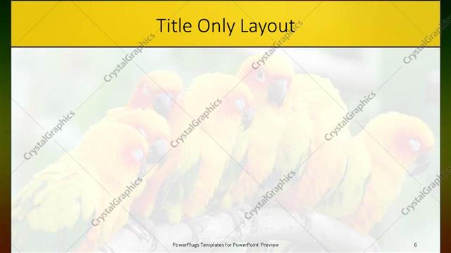 Title Only presentation slide layout