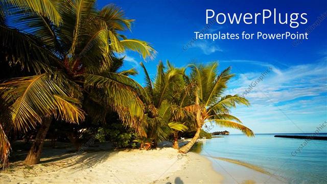  Presentation with shadow - Shadow of happy couple on beach sand with palms and blue sky