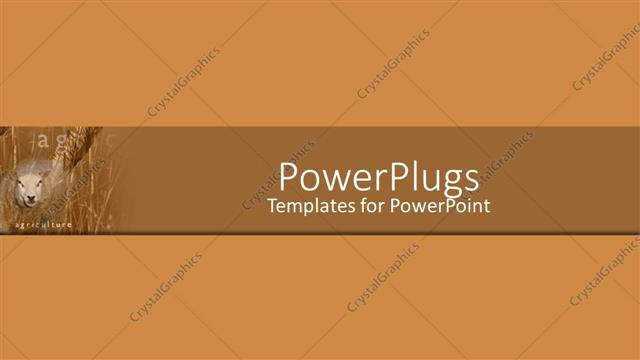  Presentation with agriculture - A sheep and a brownish background with place for text in middle