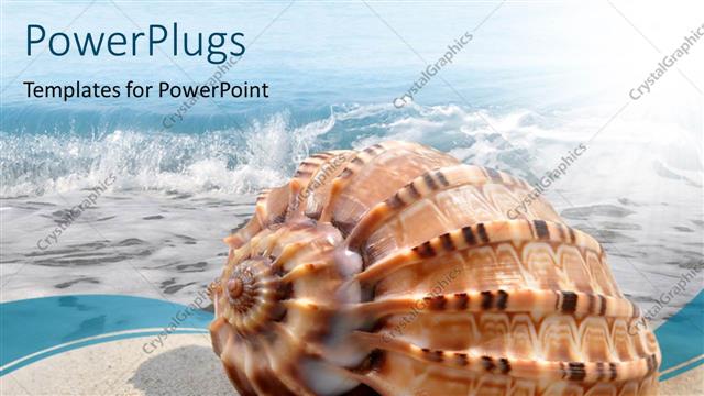  Presentation with sea shell - A shell on the beach with sea in the background