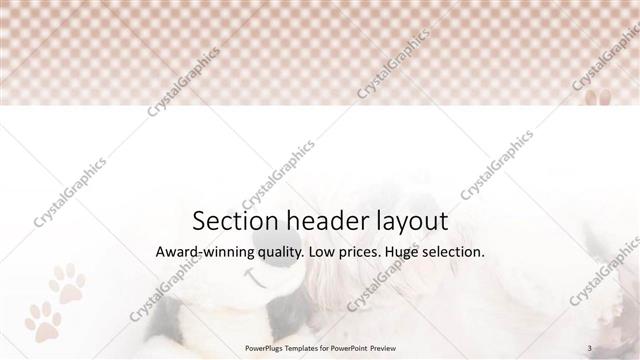 Section Header presentation slide layout