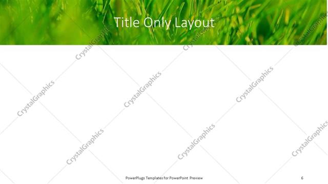 Title Only presentation slide layout