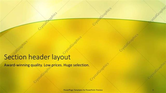 Section Header presentation slide layout
