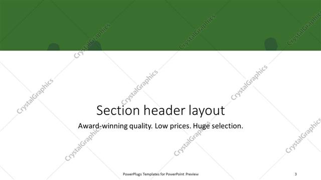 Section Header presentation slide layout