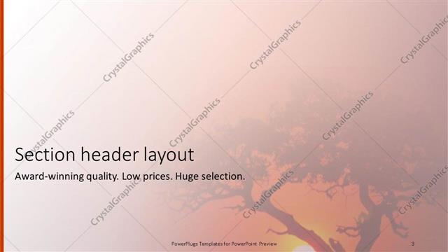 Section Header presentation slide layout