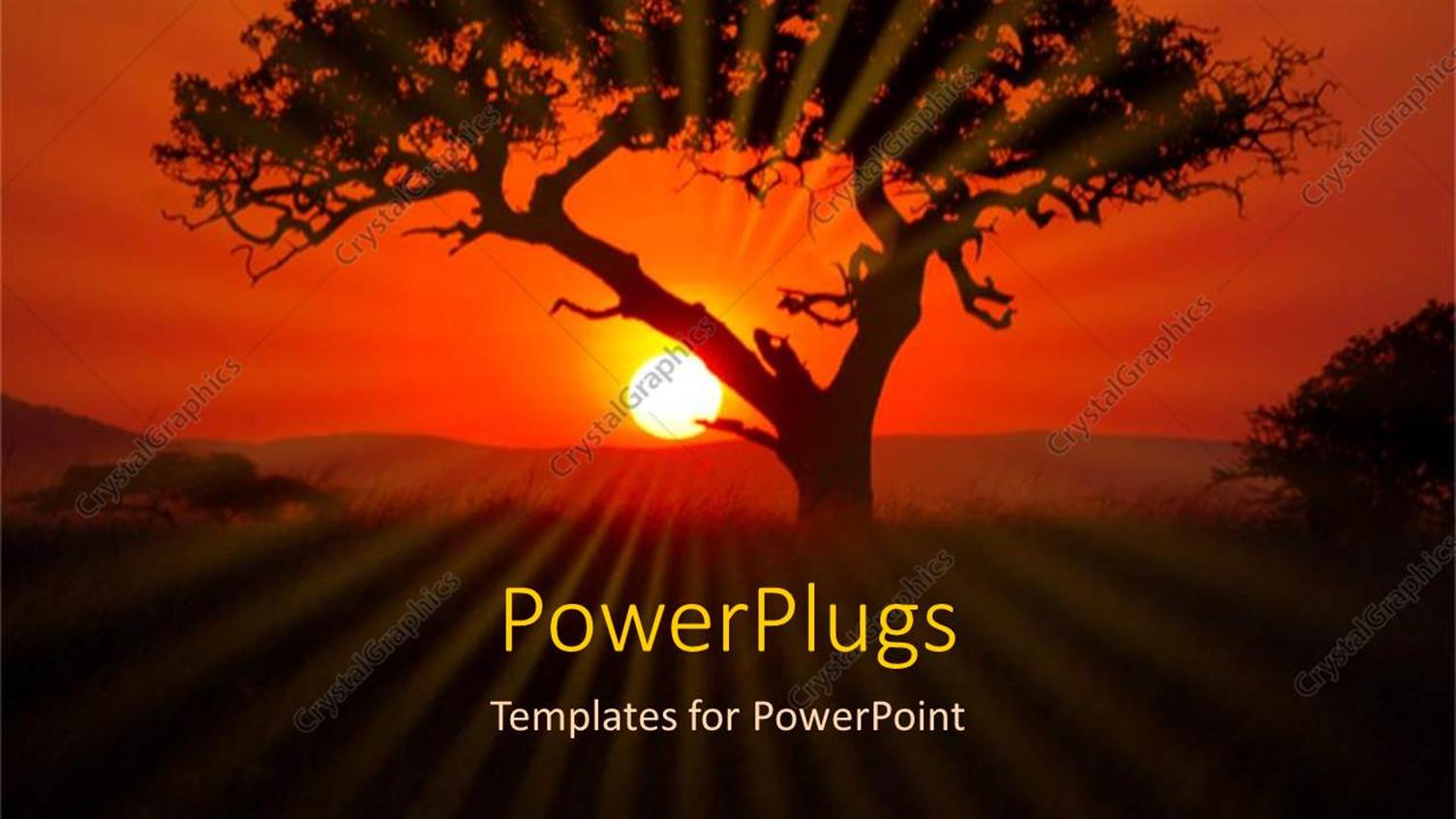 Premium Template for PowerPoint & Google Slides 