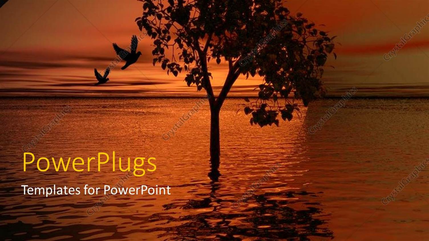 Premium Template for PowerPoint & Google Slides 