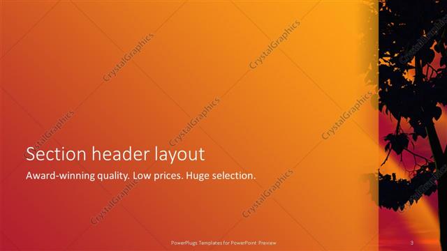 Section Header presentation slide layout