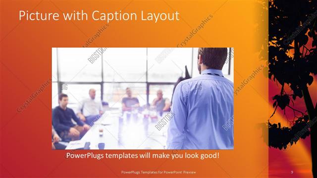 Picture with Caption presentation slide layout