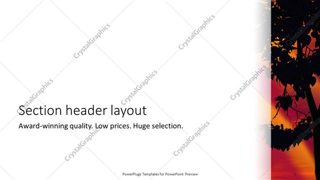 Section Header presentation slide layout