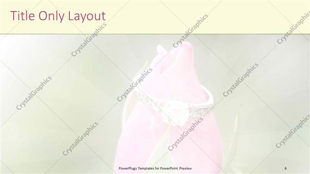 Title Only presentation slide layout