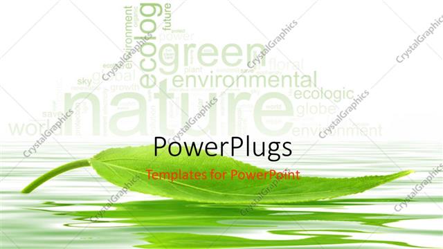  Presentation with green leaf - Single green leaf floating over the water with nature keywords