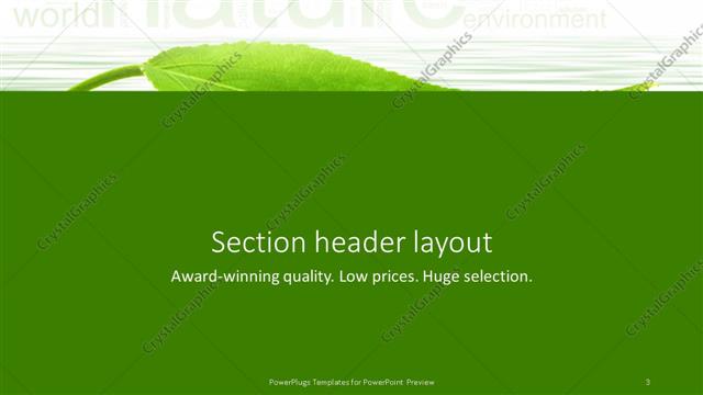 Section Header presentation slide layout