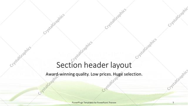 Section Header presentation slide layout