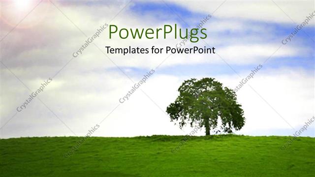  Presentation with alone - Single tree on top of a hilly grass landscape