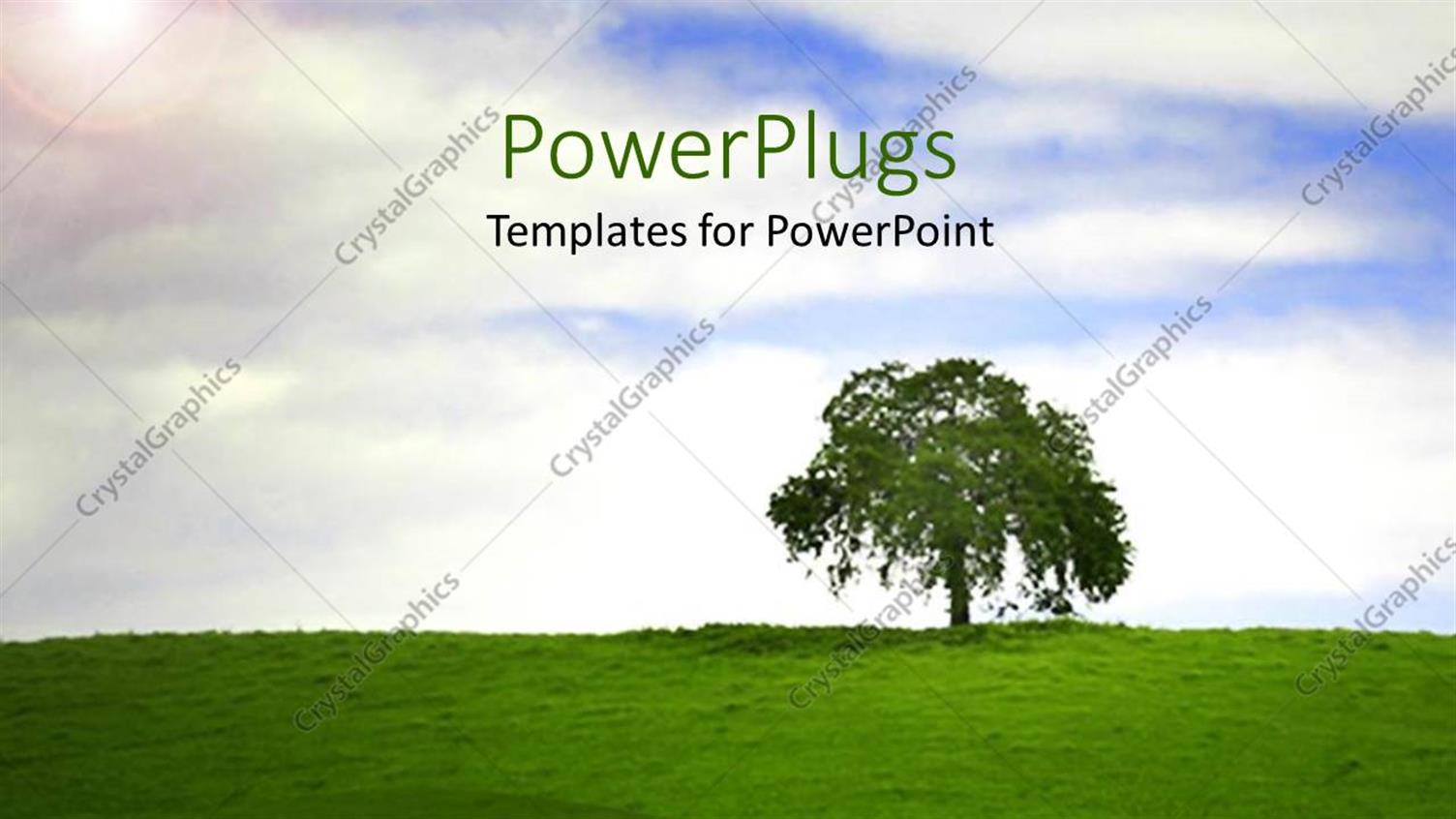 Premium Template for PowerPoint & Google Slides 