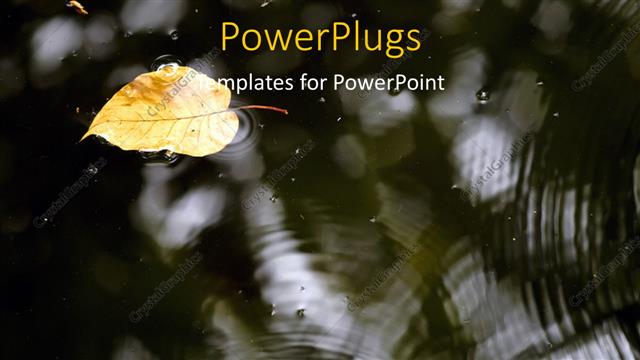  Presentation with ripples - Dry leaf floating on surface of water with water ripples