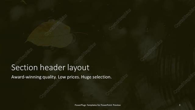 Section Header presentation slide layout