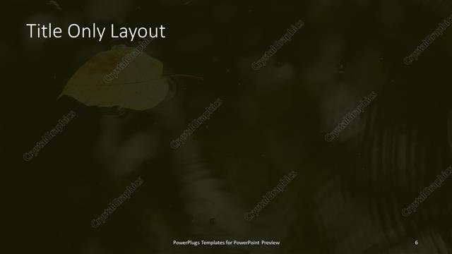 Title Only presentation slide layout