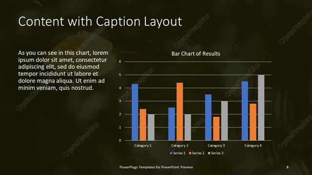 Content with Caption presentation slide layout