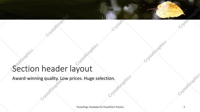 Section Header presentation slide layout