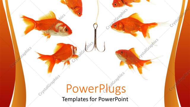 Presentation with fishing - Six swimming gold fishes with a fishing hook between them