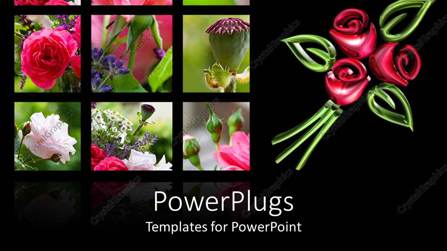 Premium Template for PowerPoint & Google Slides 