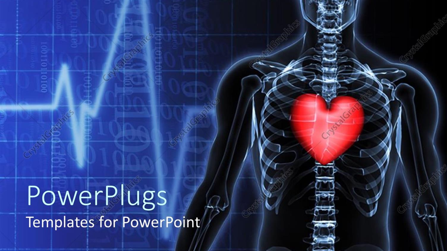 Premium Template for PowerPoint & Google Slides 